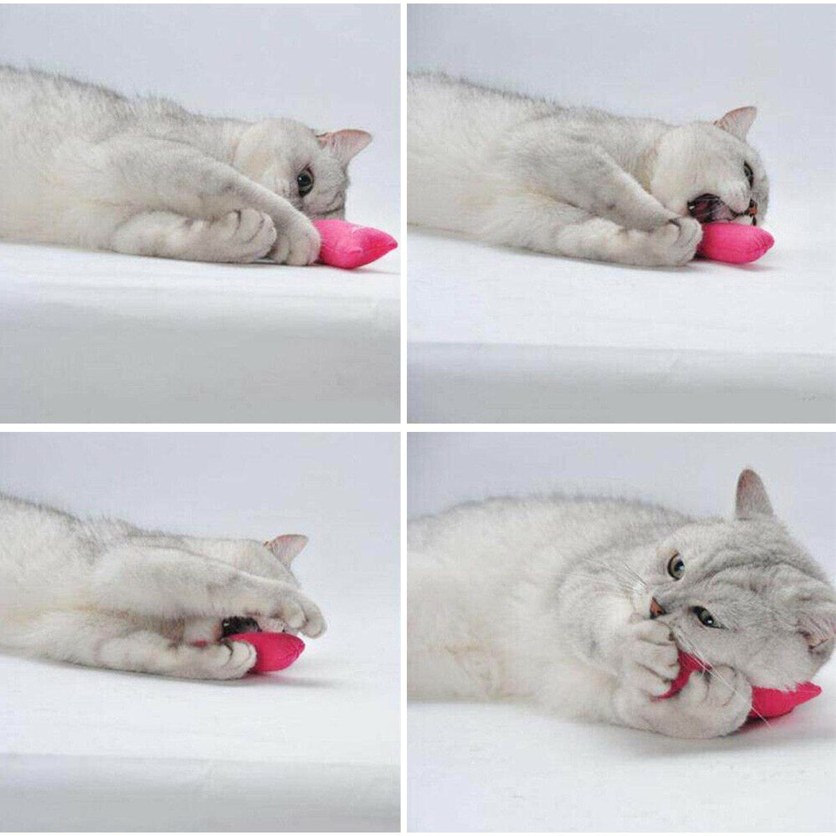 PetTeeth™ - Jouet à mâcher pour chat - Galaxy du chat